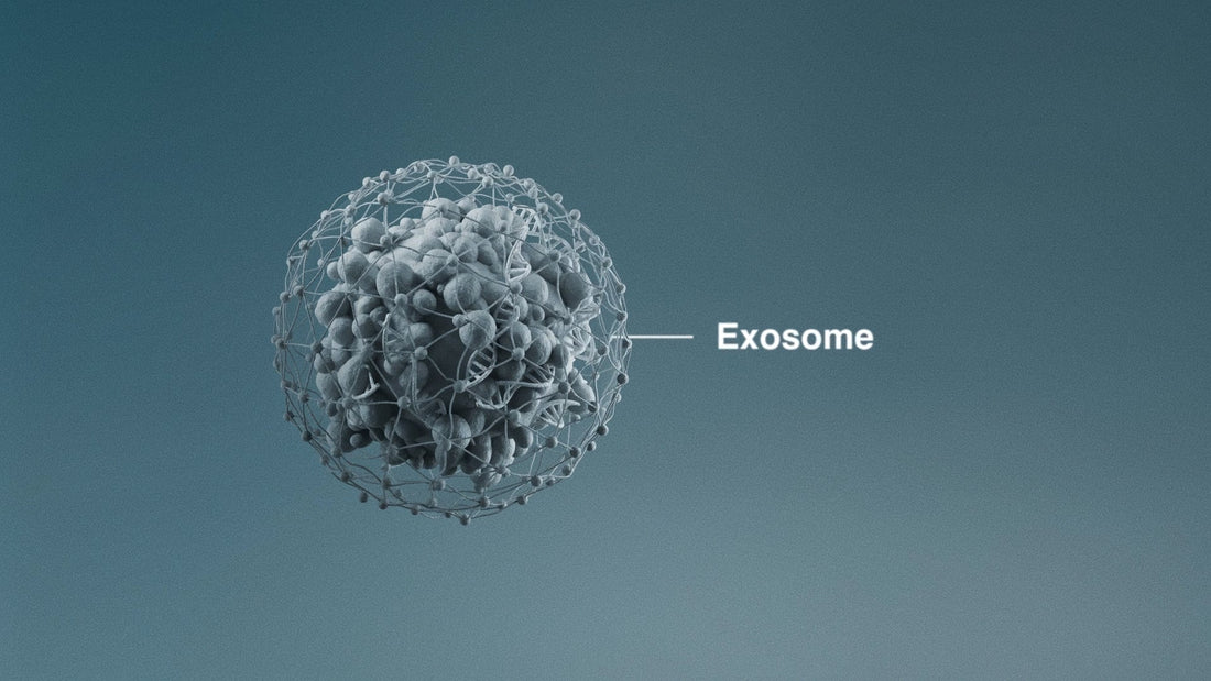 Dermalogica exosomen