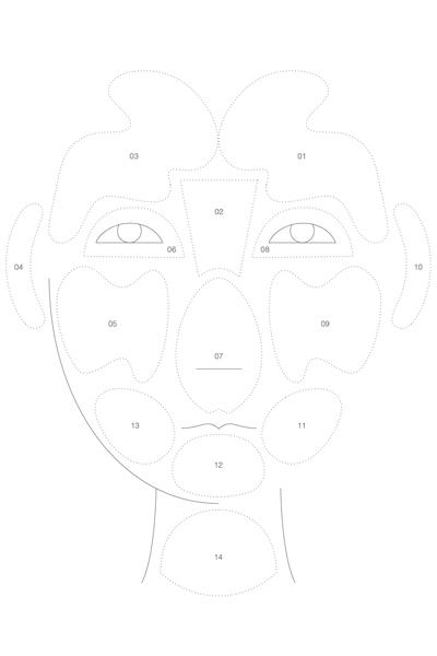 face_mapping_zones